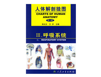 呼吸系統(tǒng)掛圖