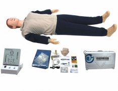 全身心肺復蘇訓練模型