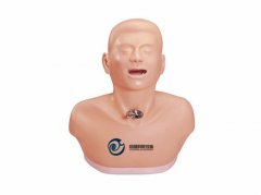 高級(jí)成人氣管切開(kāi)護(hù)理模型