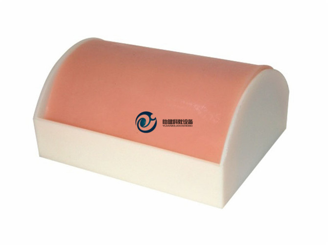 多功能肌肉注射模塊