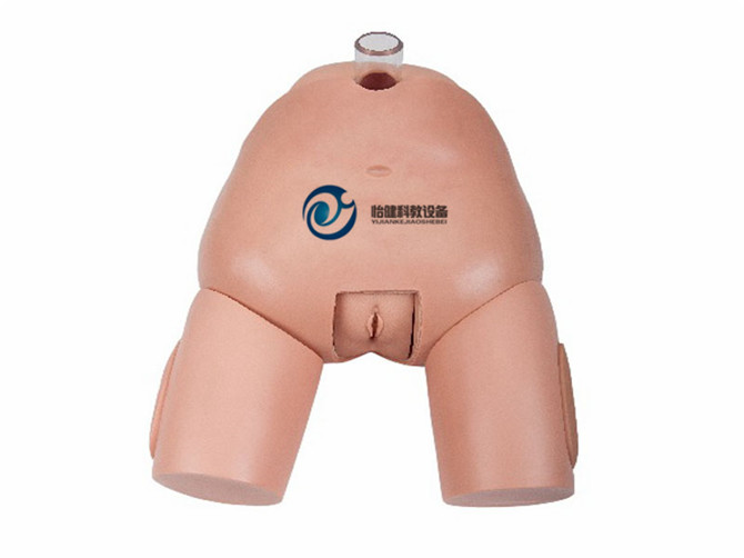 高級女性膀胱穿刺模型