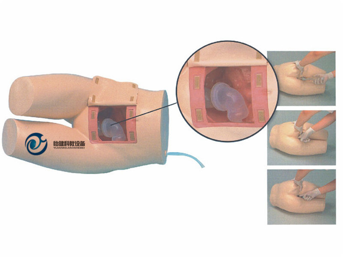 高級灌腸和輔助排便訓練模型