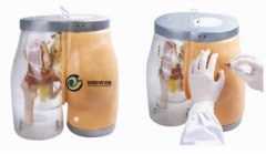 高級臀部肌肉注射訓練及對比模型(帶檢測警示系統)