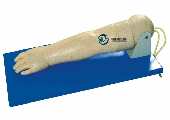 高級小兒靜脈穿刺手部模型