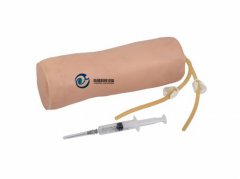 高級肘部靜脈穿刺訓練模型