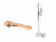 完整靜脈手臂穿刺模型