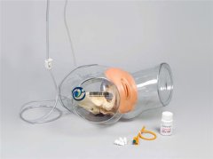 透明女性導尿模型