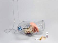 透明男性導尿模型