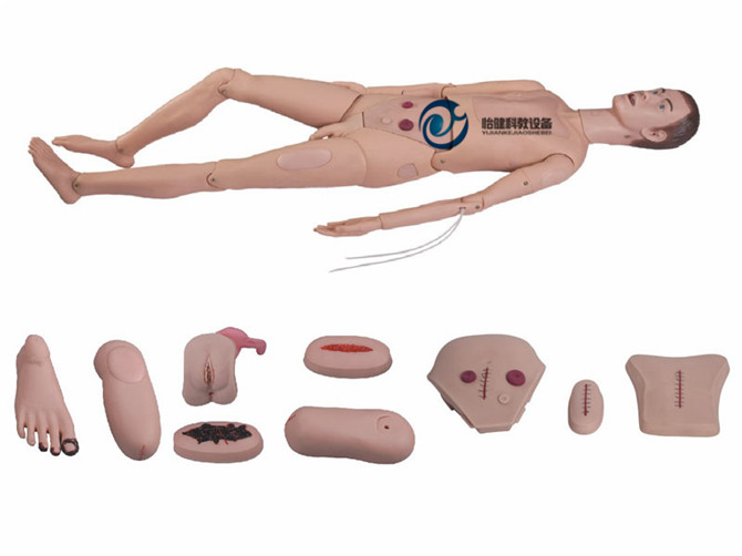 高級全功能護理人訓練模型（男性）