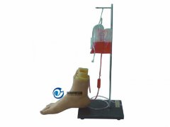 下肢足部靜脈注射仿真模型