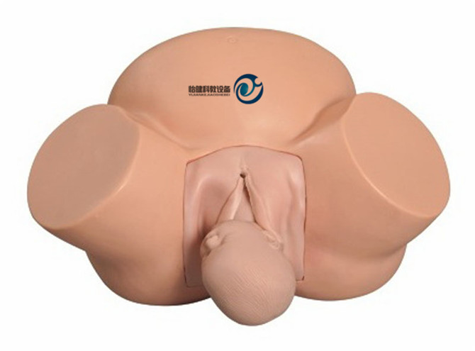 高級助產訓練模型