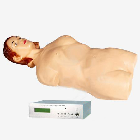 數字遙控式電腦腹部觸診模擬人