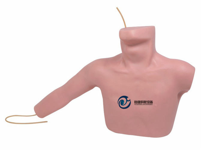  外周穿刺、中心靜脈穿刺插管模型