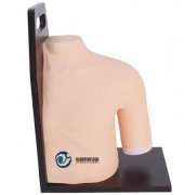 肩關節腔內注射模型