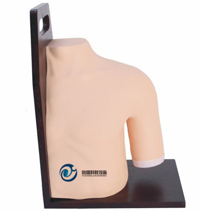 肩關節腔內注射模型