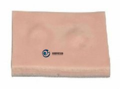 脂肪瘤切除術練習模塊