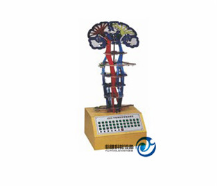 平衡覺傳導(dǎo)電動(dòng)模型