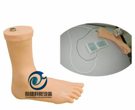 踝關(guān)節(jié)穿刺注射電子監(jiān)測模型