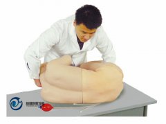 腰椎穿刺訓練模型