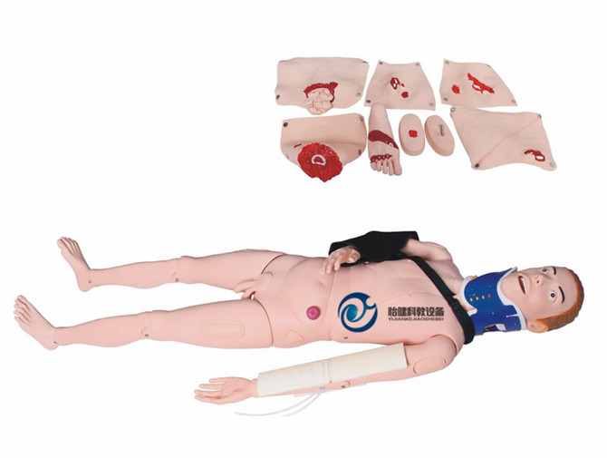 閉合式四肢骨折固定訓練模型